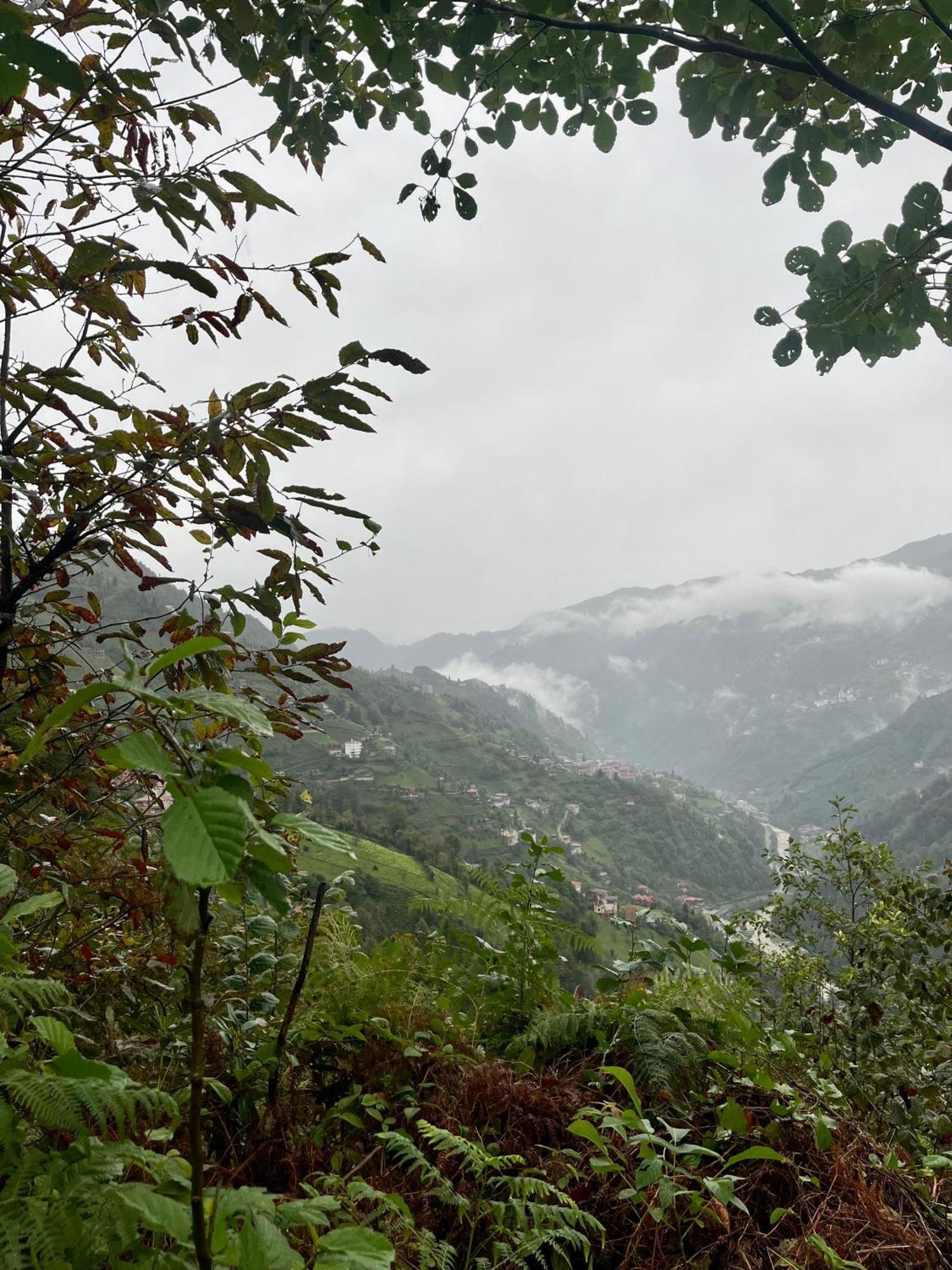 Relax Dag Evleri Rezistans Ayder Dikkaya  Εξωτερικό φωτογραφία