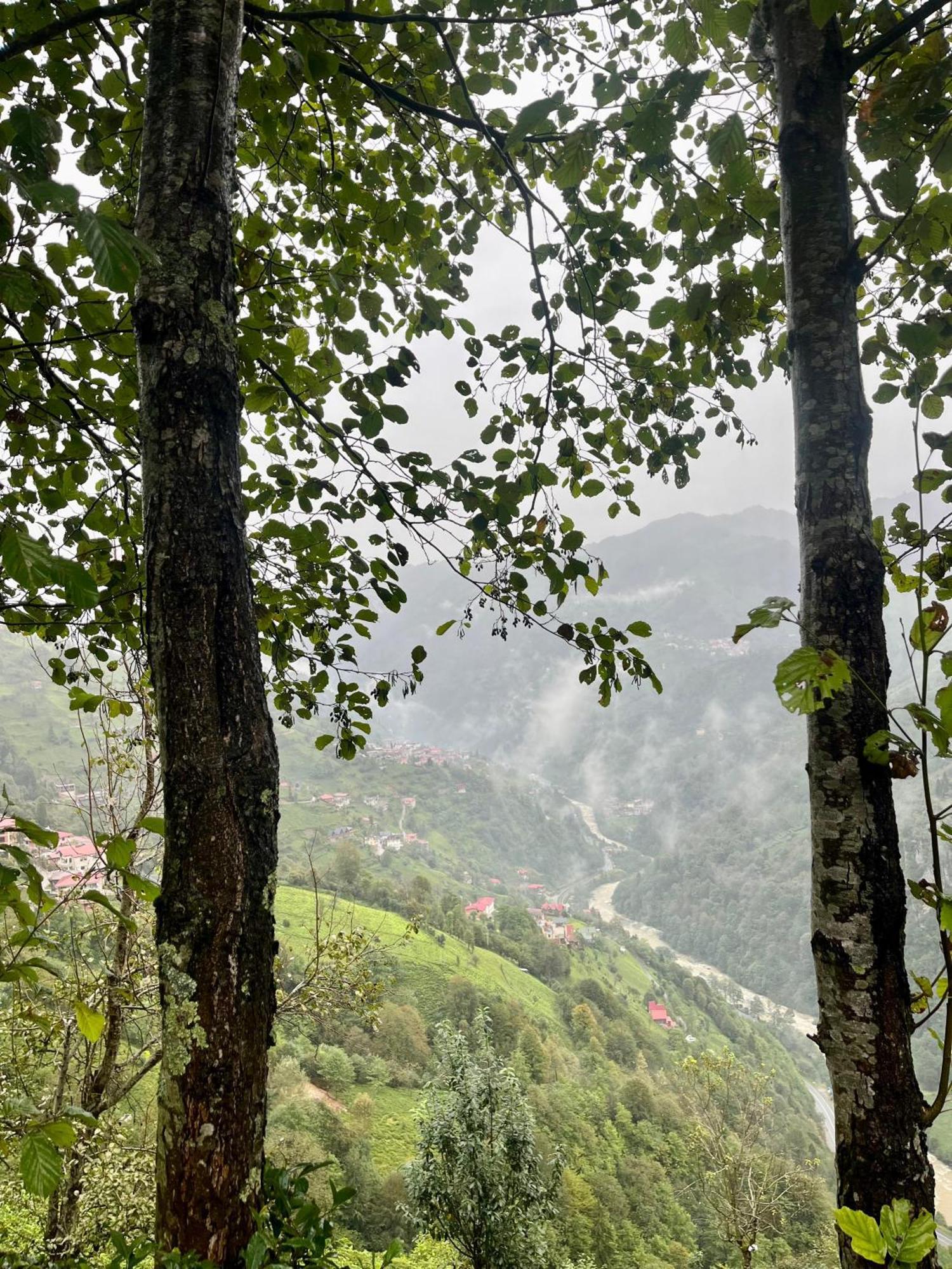 Relax Dag Evleri Rezistans Ayder Dikkaya  Εξωτερικό φωτογραφία