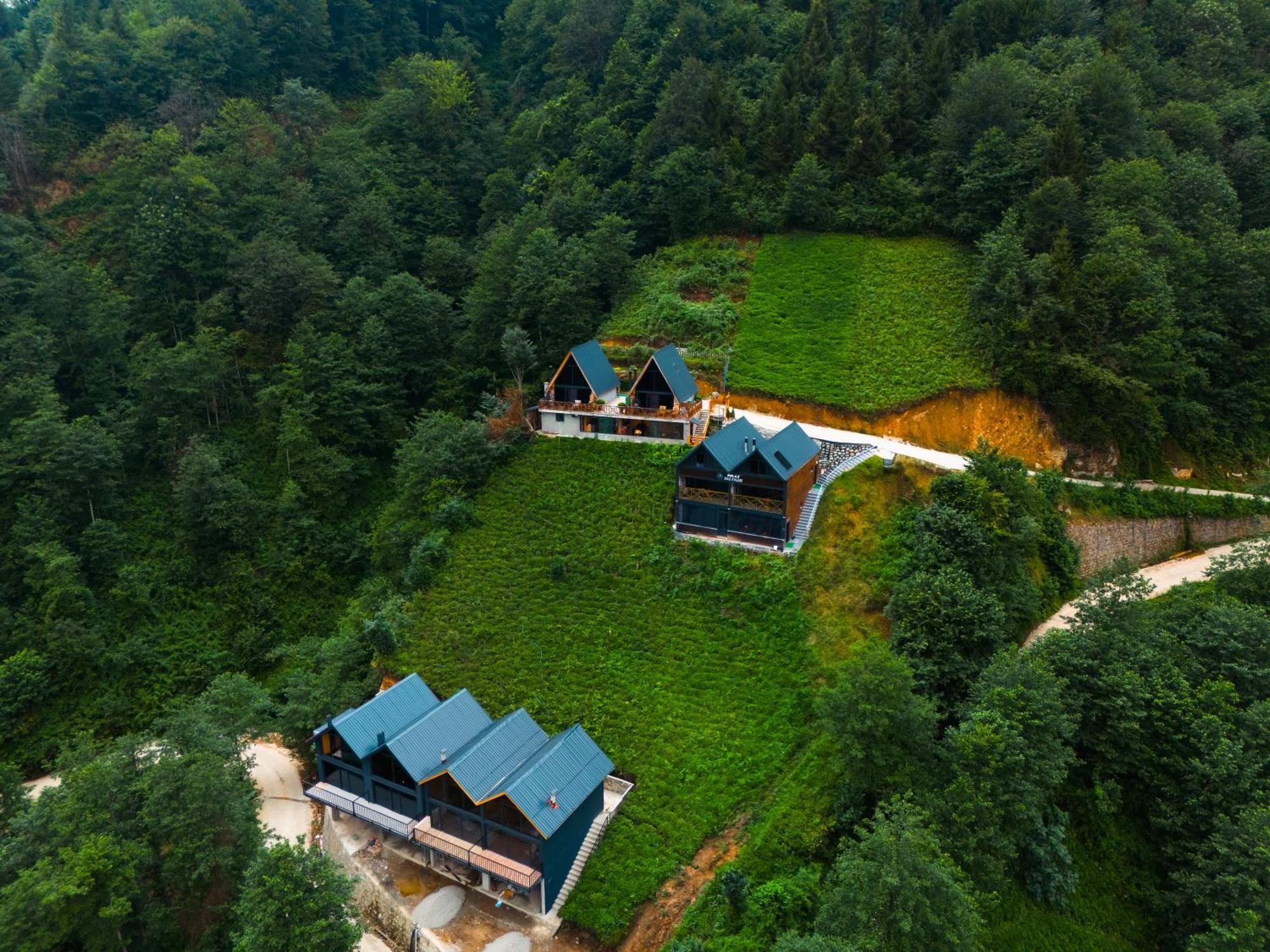 Relax Dag Evleri Rezistans Ayder Dikkaya  Εξωτερικό φωτογραφία
